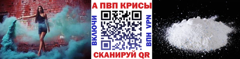 A PVP СК  Новая Ладога 