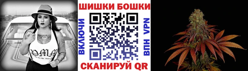 цена наркотик  Новая Ладога  mega ссылка  Бошки Шишки конопля 